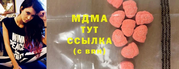 apvp Инсар
