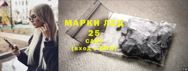 apvp Инсар