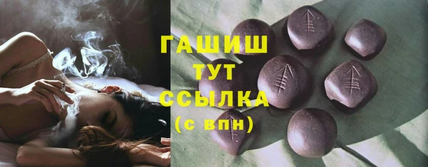 дмт Инта