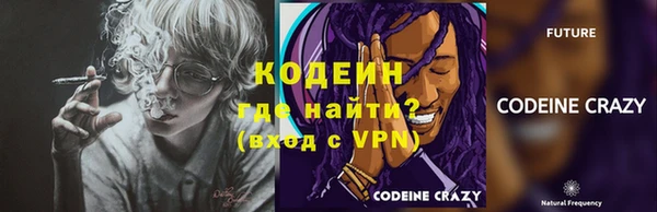 apvp Инсар
