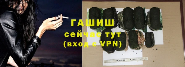 apvp Инсар