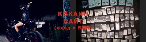apvp Инсар