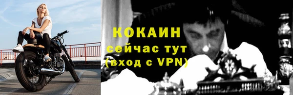дмт Инта