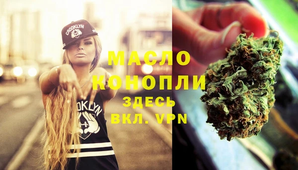 дмт Инта