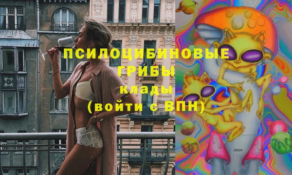 apvp Инсар