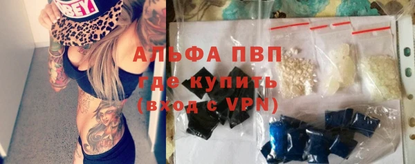 дмт Инта