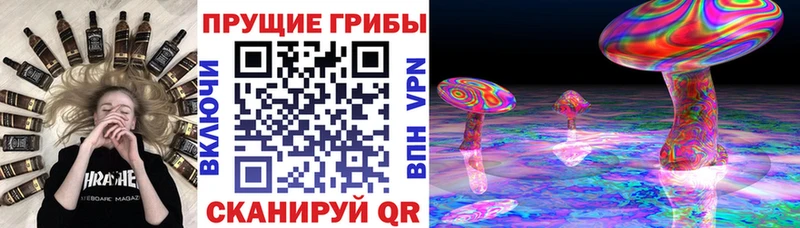 Галлюциногенные грибы мицелий  Купить где  Дальнереченск 